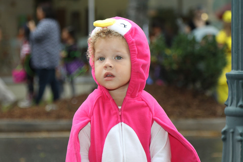 Halloween Trick or Treat Downtown Morganton 2019-9509.JPG